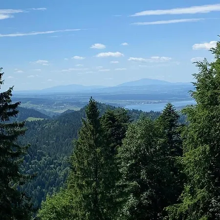 Chalet Janosik Premium - Ogrodzony Z Kominkiem Na Wylacznosc, W Ogrodzie Pelnym Zieleni, W Spokojnej Okolicy, Blisko Atrakcji Podhala *