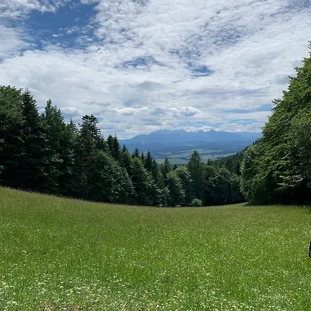 Janosik Premium - Ogrodzony Z Kominkiem Na Wylacznosc, W Ogrodzie Pelnym Zieleni, W Spokojnej Okolicy, Blisko Atrakcji Podhala Chalet